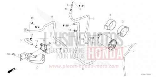 CUVETTE CBF125NAP de 2023